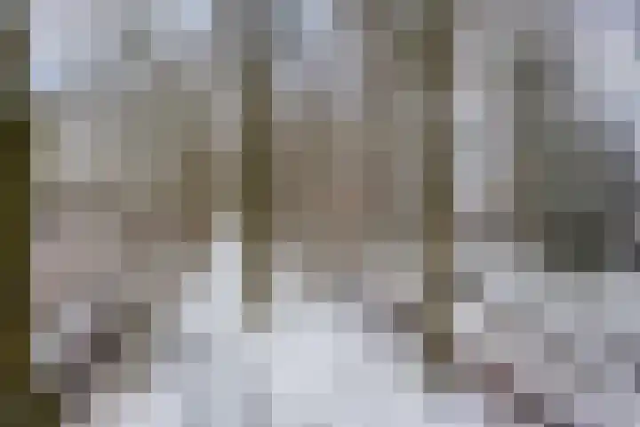 Mendelssohnlaan 12 Apeldoorn thumbnail 29