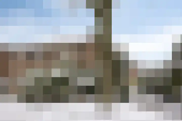 Mendelssohnlaan 12 Apeldoorn thumbnail 4