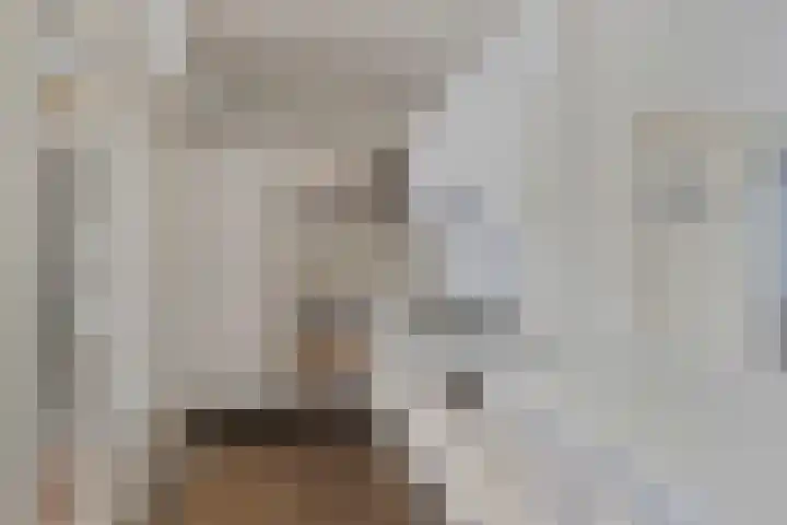 Mendelssohnlaan 12 Apeldoorn thumbnail 9