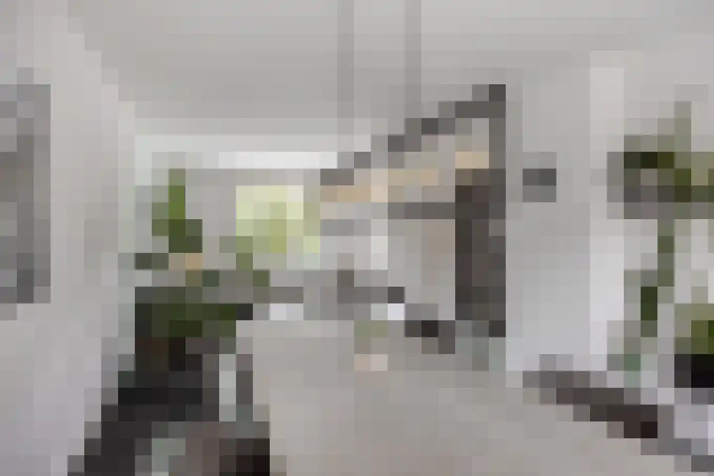 Mendelssohnlaan 12 Vlijmen thumbnail 14