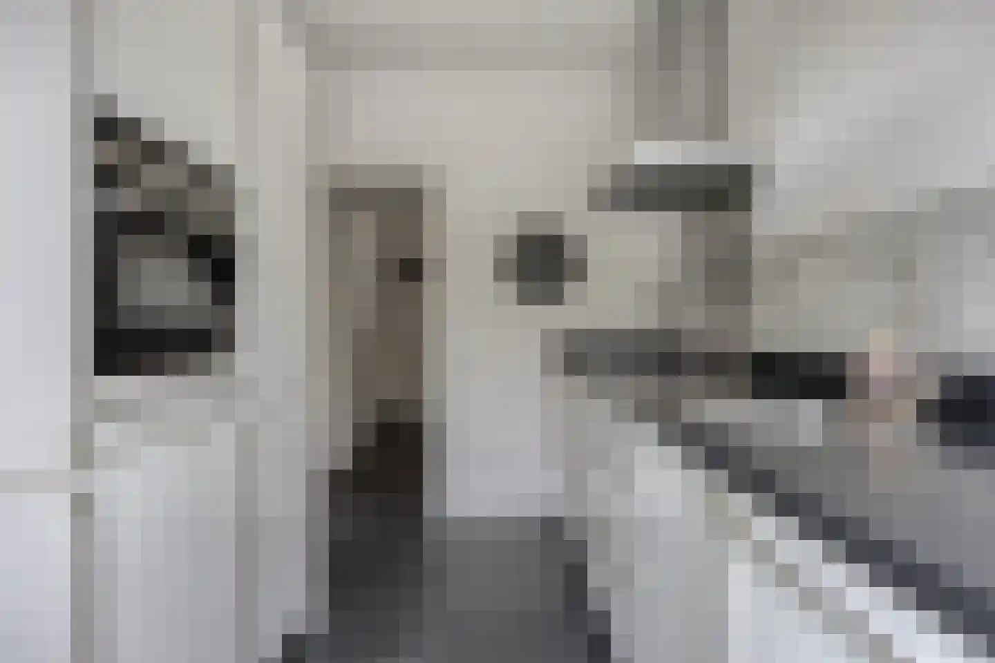 Mendelssohnlaan 12 Vlijmen thumbnail 17