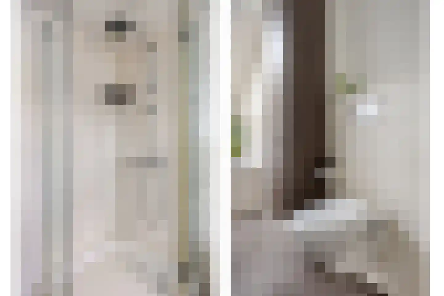 Mendelssohnlaan 12 Vlijmen thumbnail 23