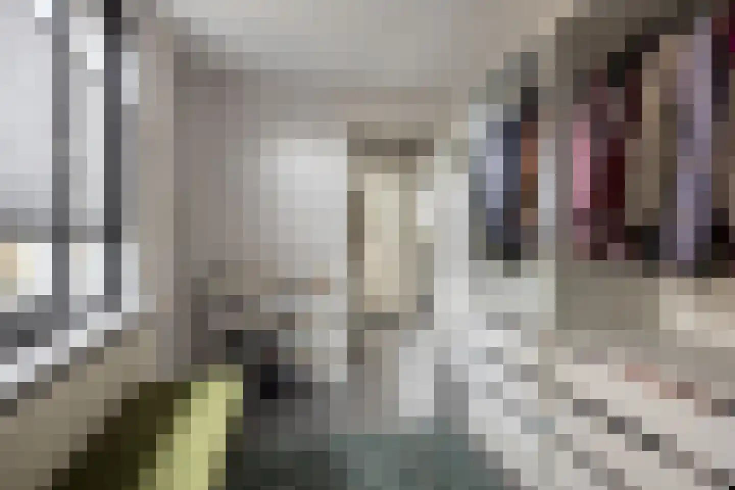 Mendelssohnlaan 12 Vlijmen thumbnail 28