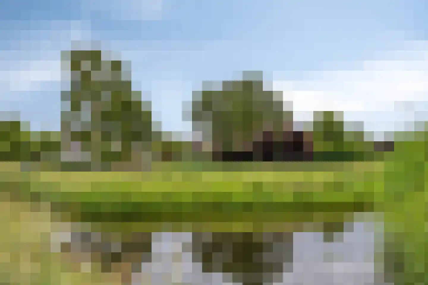Mendelssohnlaan 12 Vlijmen thumbnail 42