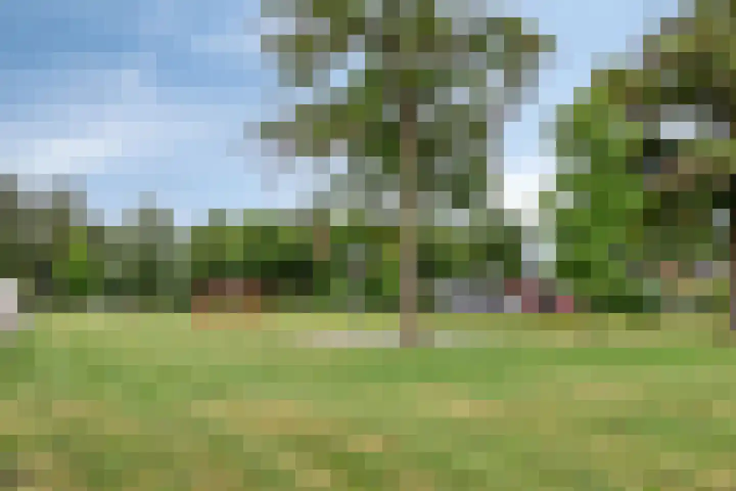 Mendelssohnlaan 12 Vlijmen thumbnail 45