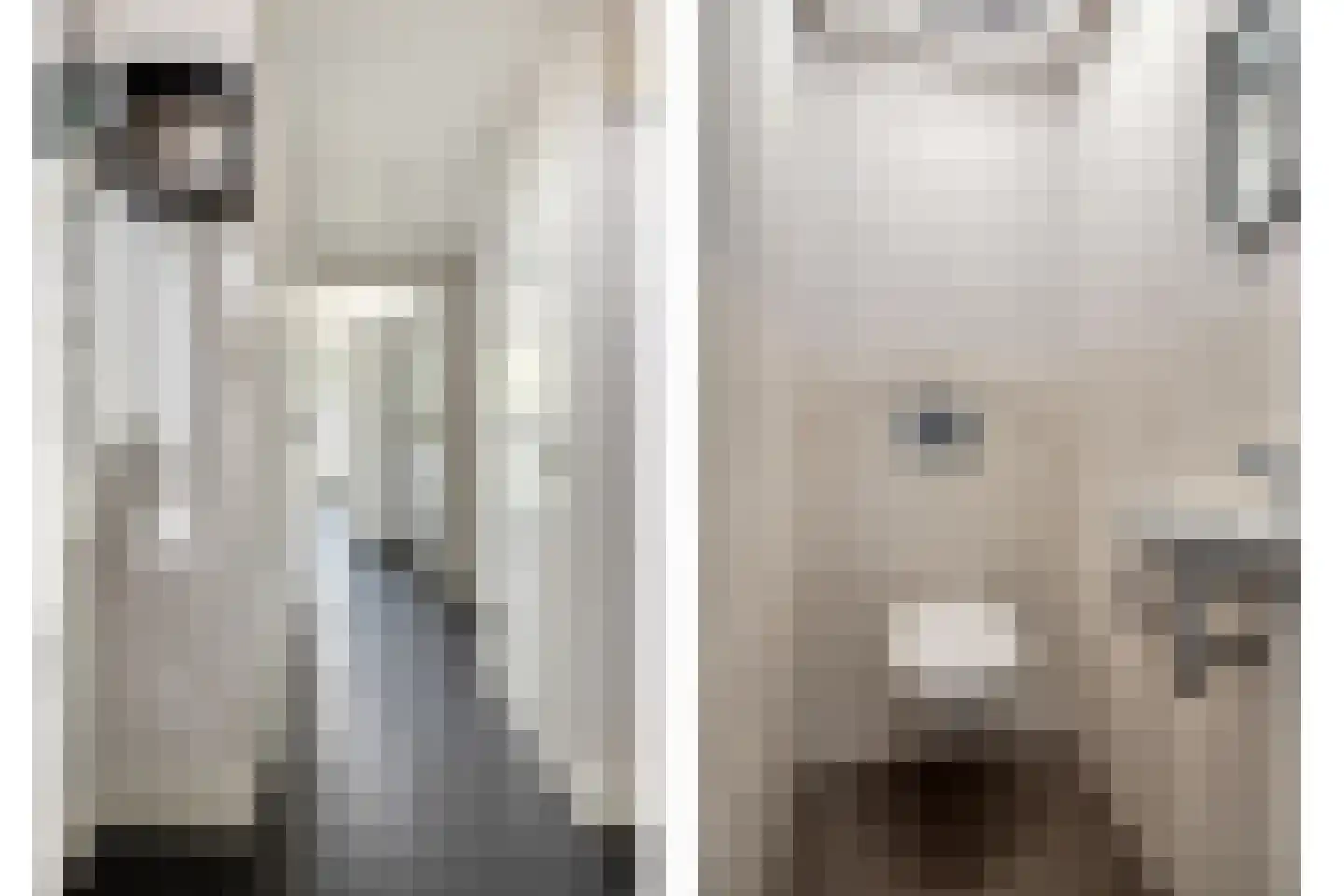 Mendelssohnlaan 12 Vlijmen thumbnail 6