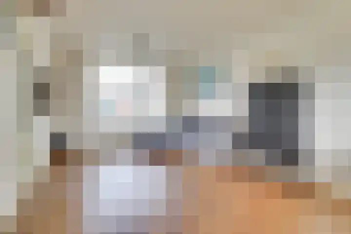 Mendelssohnlaan 18 Culemborg thumbnail 13