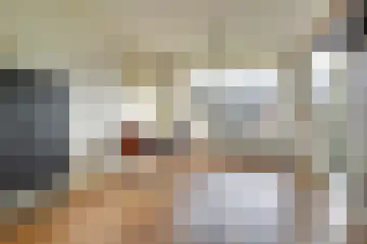 Mendelssohnlaan 18 Culemborg thumbnail 16
