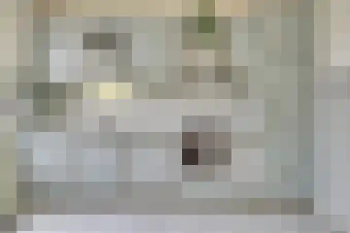 Mendelssohnlaan 18 Culemborg thumbnail 20