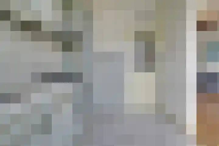 Mendelssohnlaan 18 Culemborg thumbnail 21