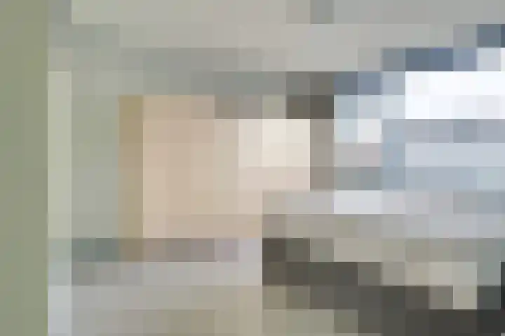 Mendelssohnlaan 18 Culemborg thumbnail 25