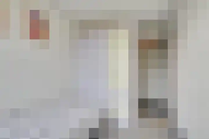 Mendelssohnlaan 18 Culemborg thumbnail 30