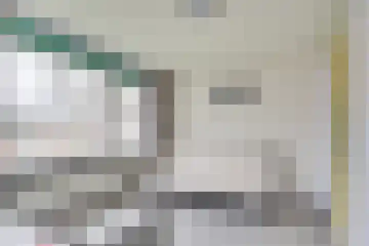 Mendelssohnlaan 18 Culemborg thumbnail 31