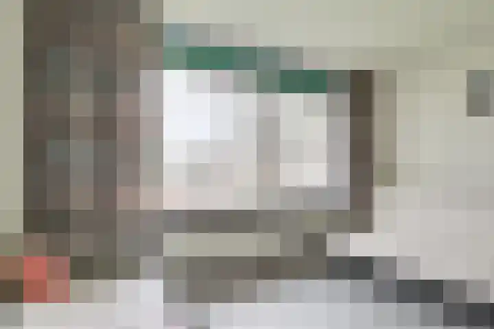 Mendelssohnlaan 18 Culemborg thumbnail 32