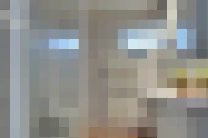 Mendelssohnlaan 18 Culemborg thumbnail 34
