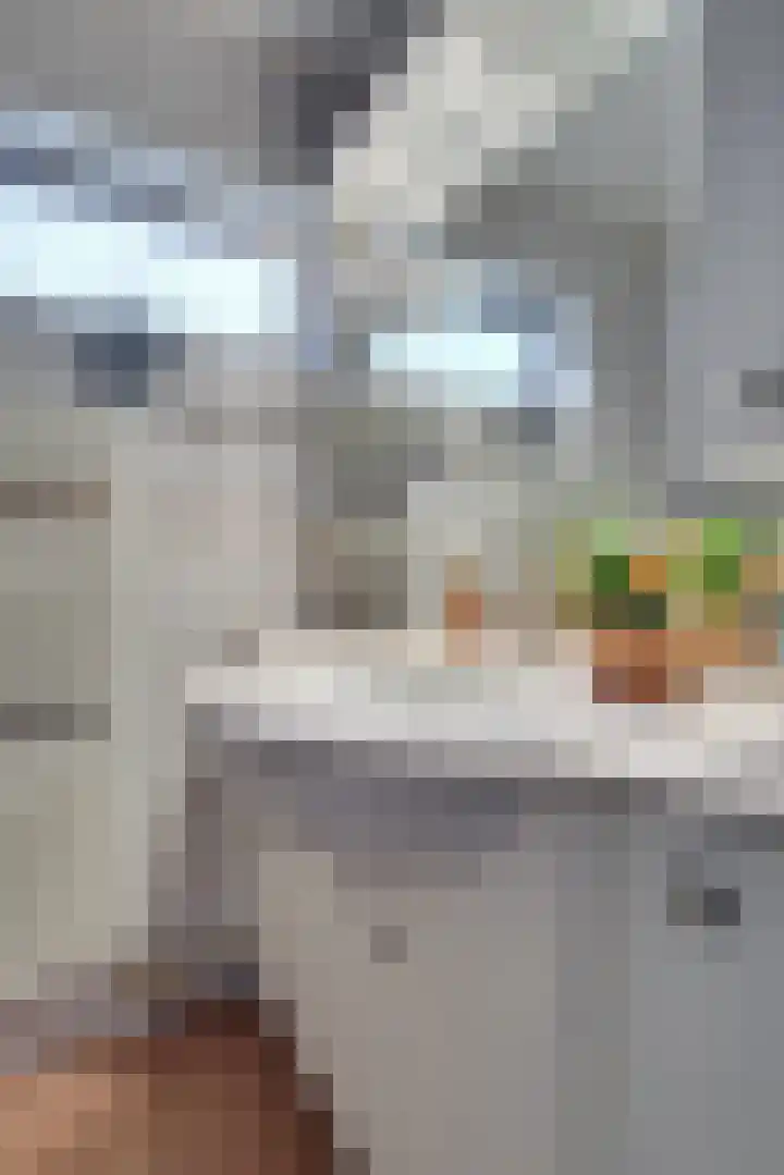 Mendelssohnlaan 18 Culemborg thumbnail 37