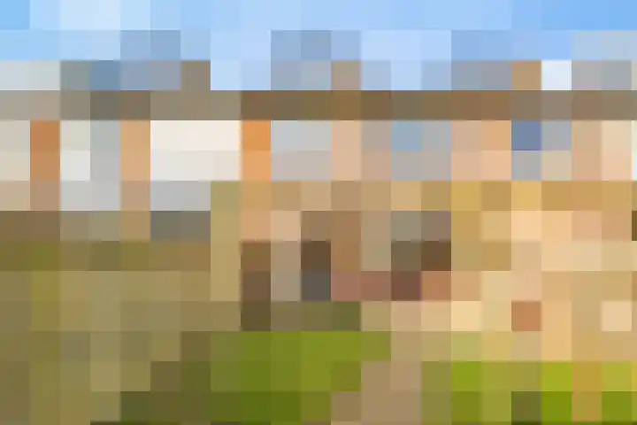 Mendelssohnlaan 18 Culemborg thumbnail 40