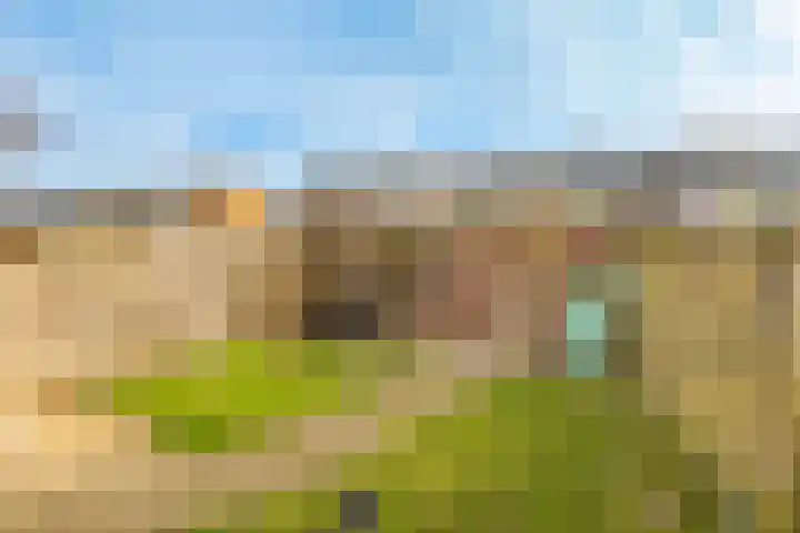Mendelssohnlaan 18 Culemborg thumbnail 42
