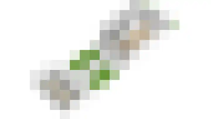Mendelssohnlaan 18 Culemborg thumbnail 57