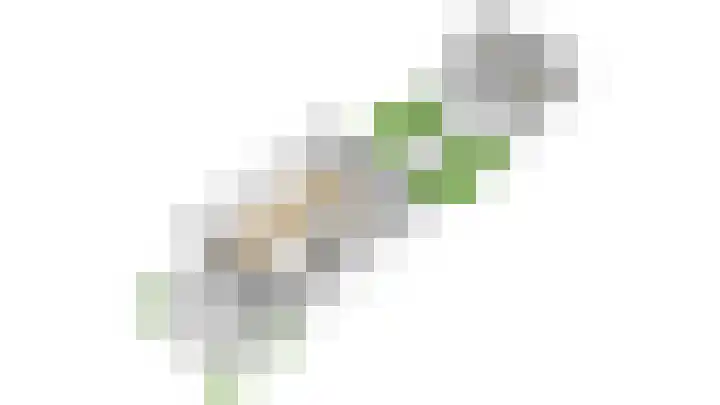 Mendelssohnlaan 18 Culemborg thumbnail 58