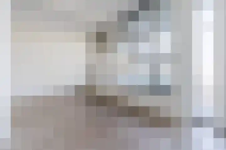 Mendelssohnlaan 3 D Eindhoven thumbnail 11