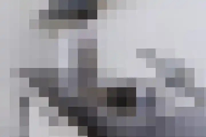 Mendelssohnlaan 3 D Eindhoven thumbnail 11