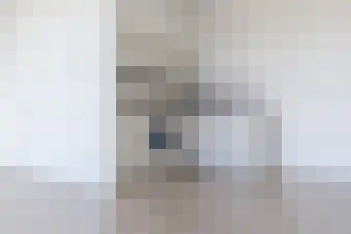 Mendelssohnlaan 3 D Eindhoven thumbnail 12