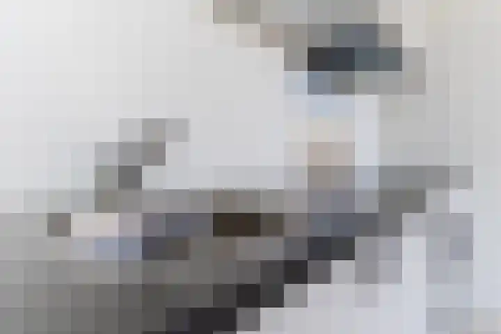 Mendelssohnlaan 3 D Eindhoven thumbnail 13