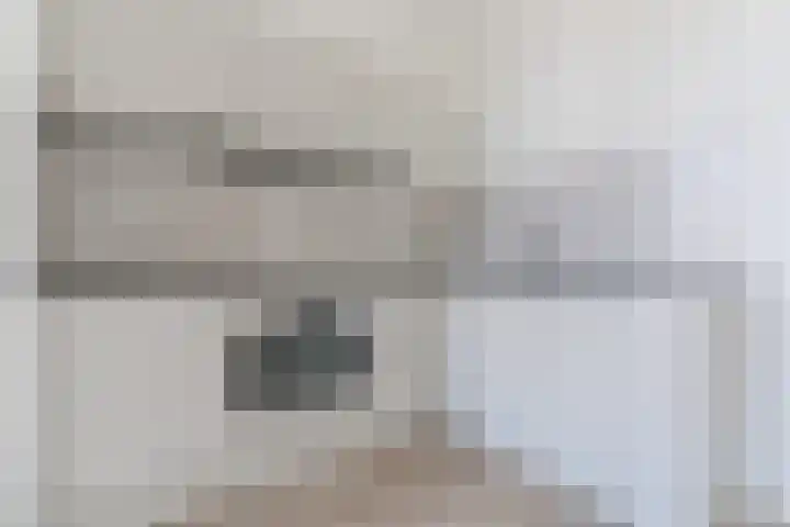 Mendelssohnlaan 3 D Eindhoven thumbnail 13