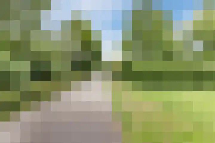 Mendelssohnlaan 3 D Eindhoven thumbnail 14
