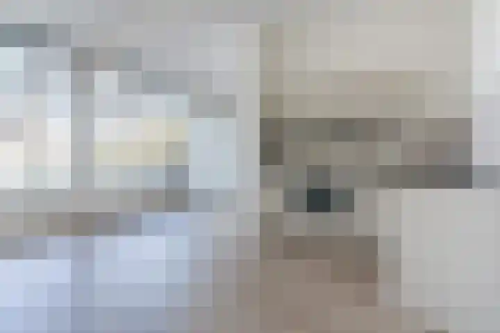Mendelssohnlaan 3 D Eindhoven thumbnail 15