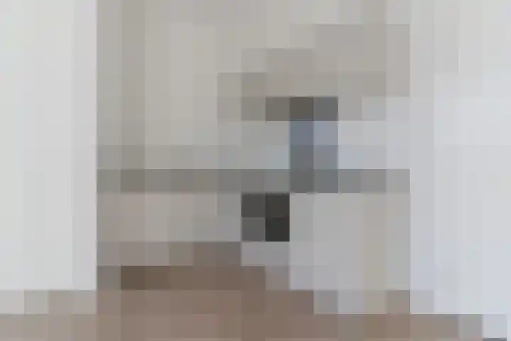Mendelssohnlaan 3 D Eindhoven thumbnail 15