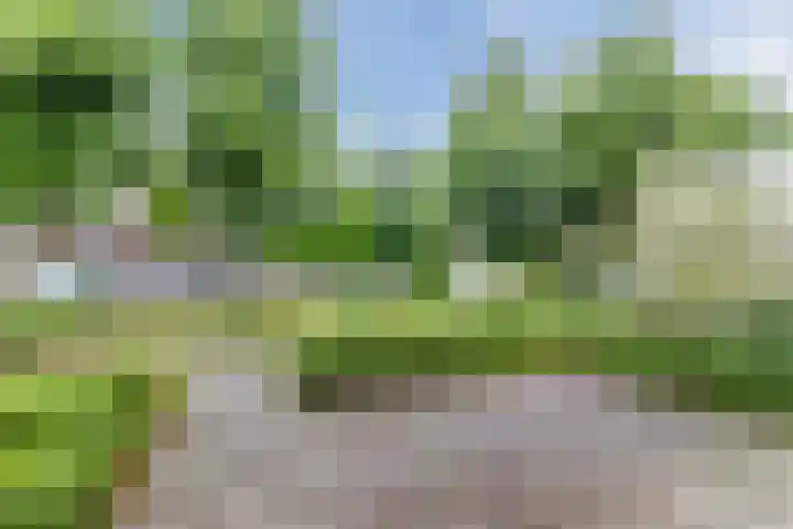 Mendelssohnlaan 3 D Eindhoven thumbnail 15