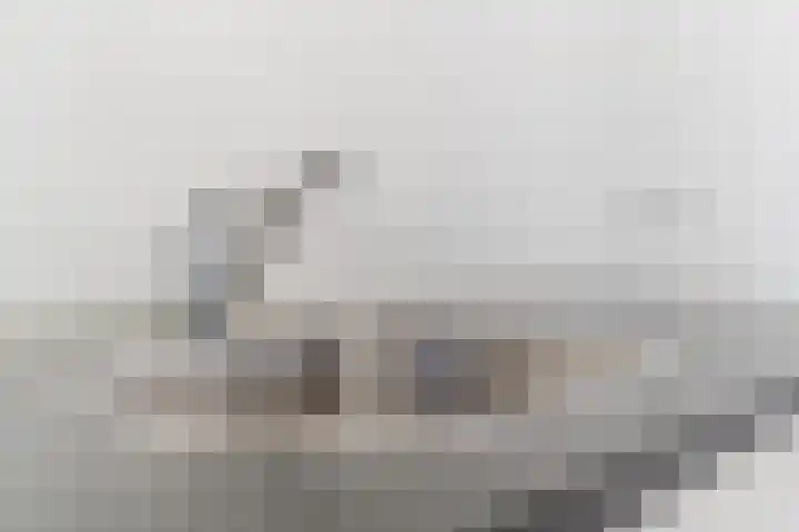Mendelssohnlaan 3 D Eindhoven thumbnail 16