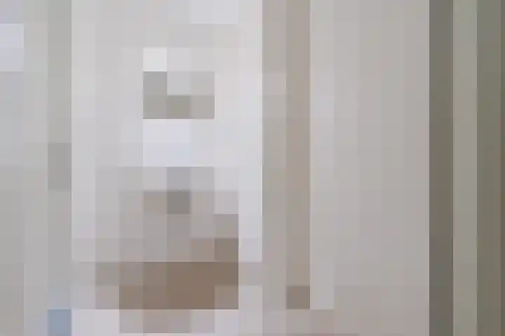 Mendelssohnlaan 3 D Eindhoven thumbnail 20