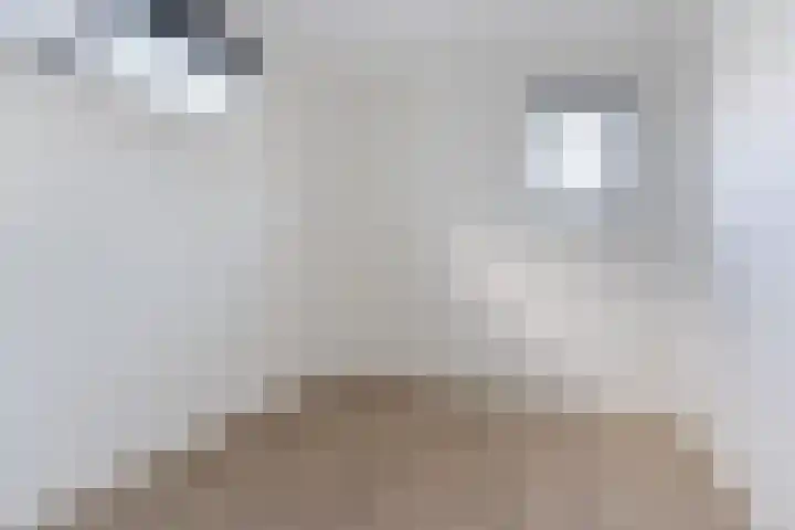 Mendelssohnlaan 3 D Eindhoven thumbnail 22