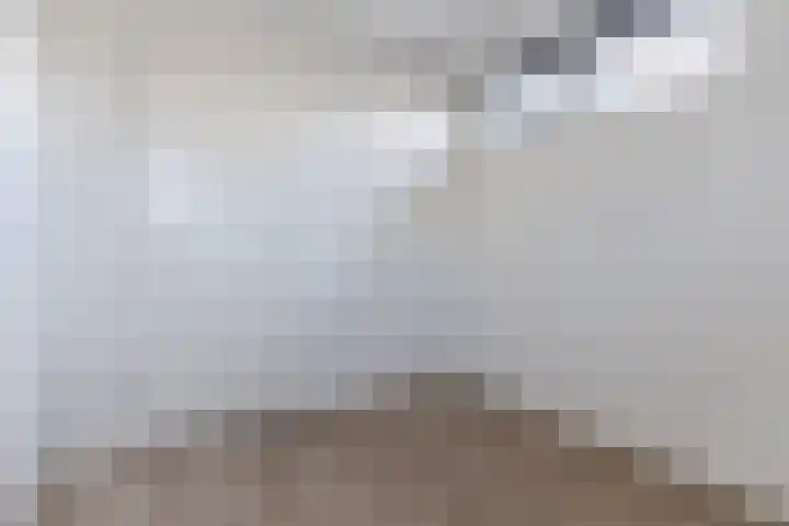 Mendelssohnlaan 3 D Eindhoven thumbnail 23