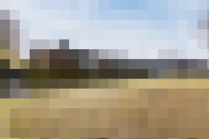 Mendelssohnlaan 3 D Eindhoven thumbnail 27