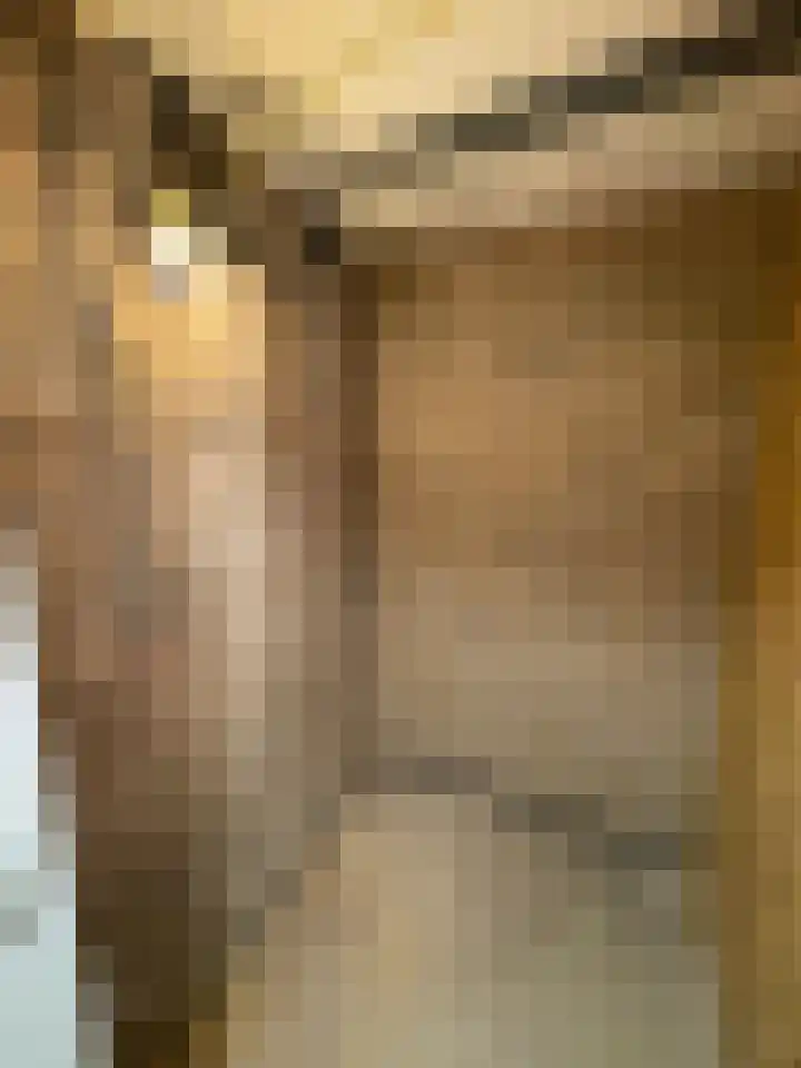 Mendelssohnlaan 3 D Eindhoven thumbnail 27