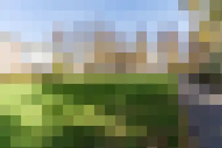 Mendelssohnlaan 3 D Eindhoven thumbnail 29