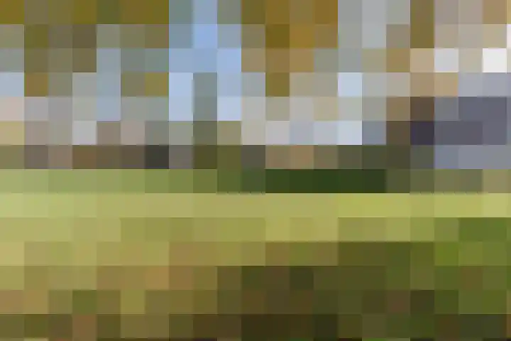 Mendelssohnlaan 3 D Eindhoven thumbnail 31