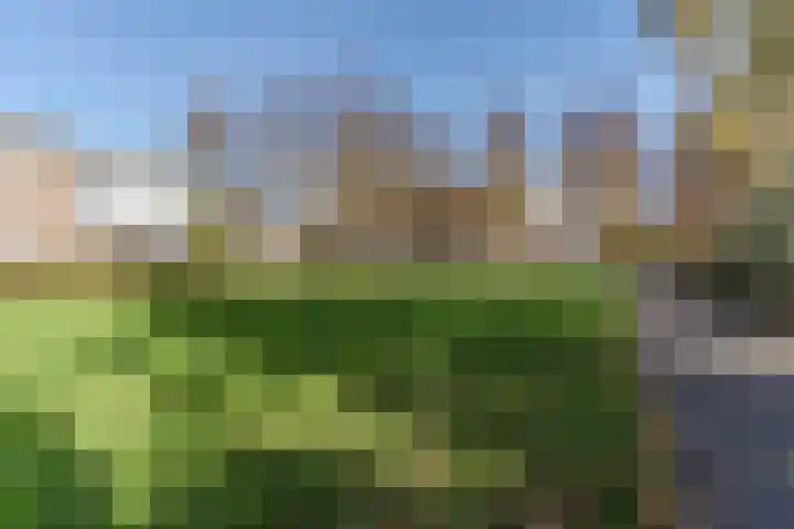 Mendelssohnlaan 3 D Eindhoven thumbnail 33