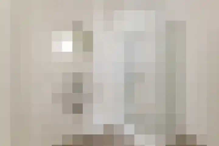 Mendelssohnlaan 3 D Eindhoven thumbnail 4