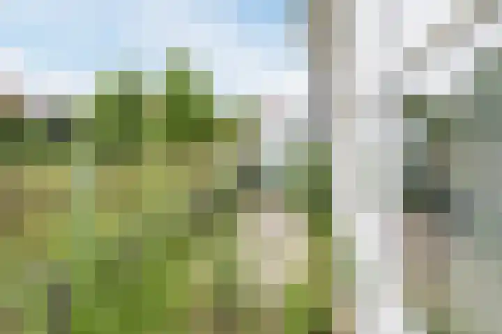 Mendelssohnlaan 3 D Eindhoven thumbnail 4