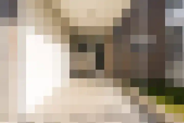 Mendelssohnlaan 3 D Eindhoven thumbnail 5