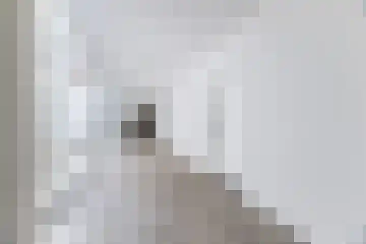 Mendelssohnlaan 3 D Eindhoven thumbnail 5