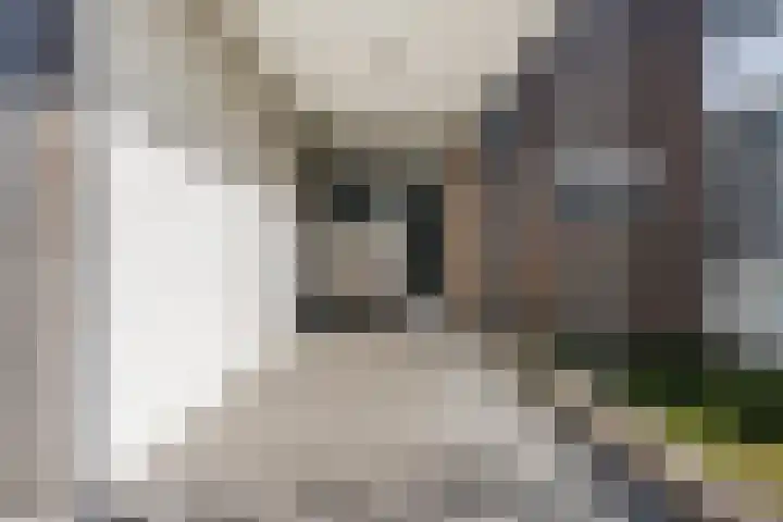 Mendelssohnlaan 3 D Eindhoven thumbnail 5