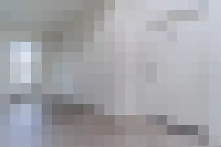 Mendelssohnlaan 3 D Eindhoven thumbnail 6
