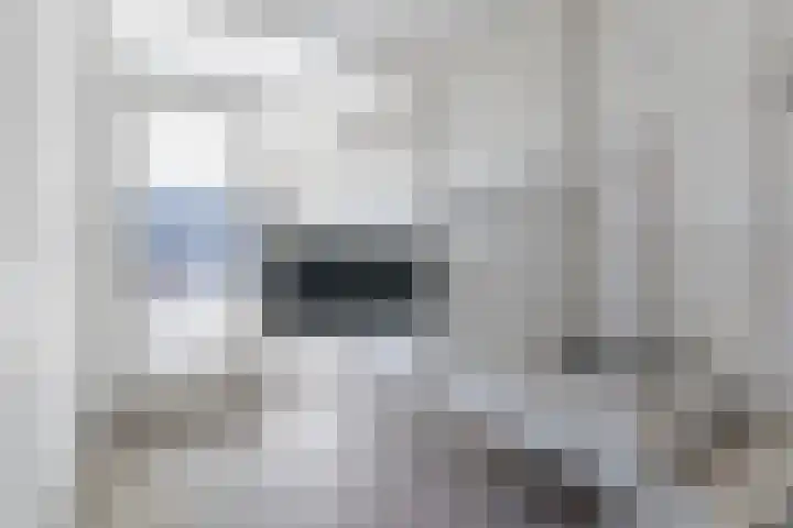 Mendelssohnlaan 3 D Eindhoven thumbnail 6