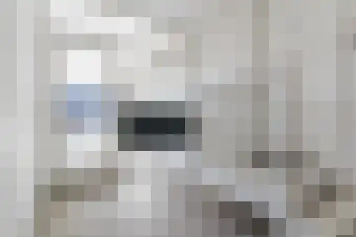 Mendelssohnlaan 3 D Eindhoven thumbnail 6
